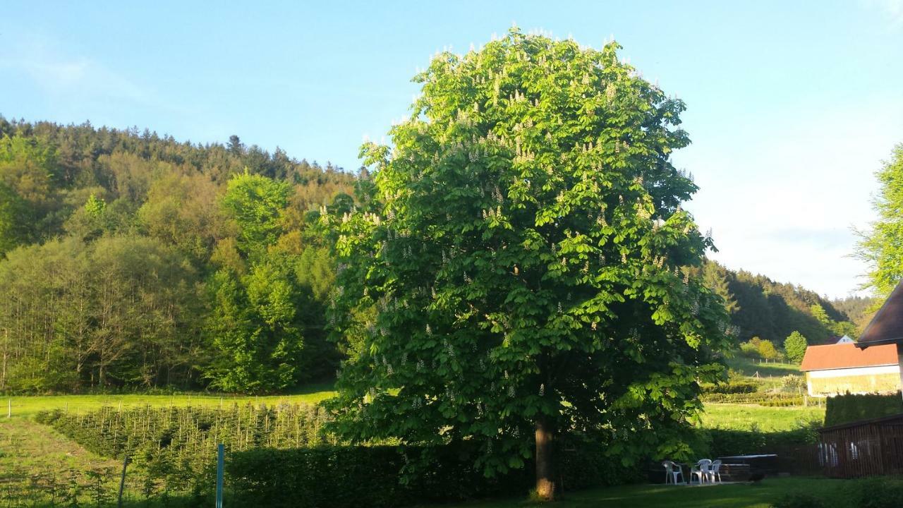 Haus Annemarie Apartman Goldkronach Kültér fotó
