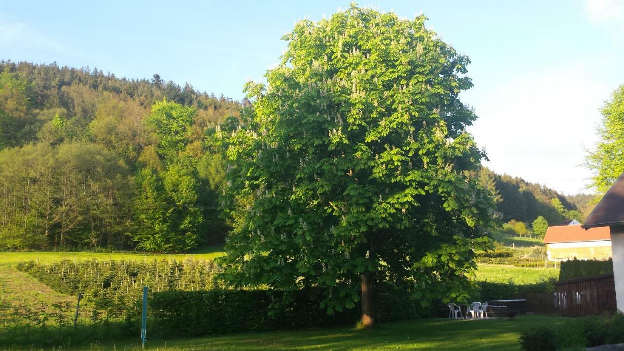 Haus Annemarie Apartman Goldkronach Kültér fotó